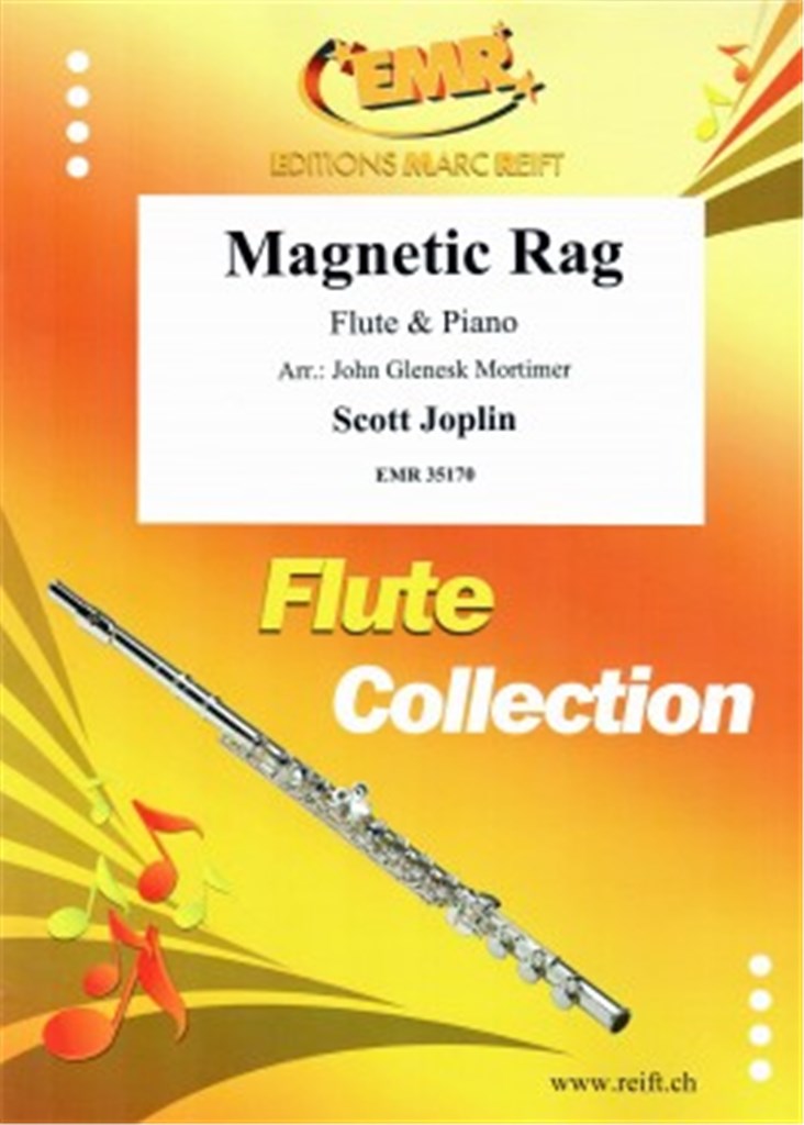 Magnetic Rag